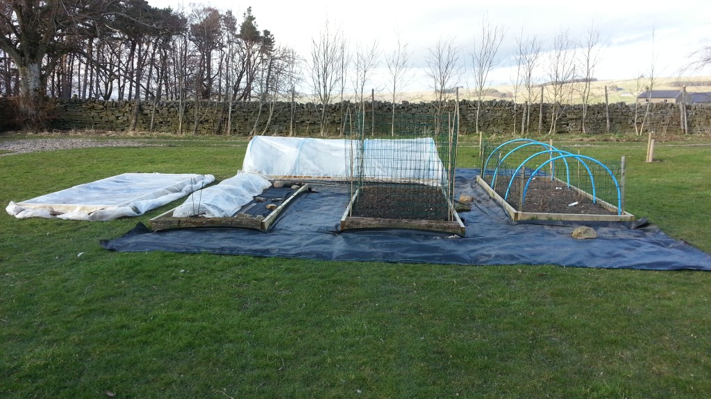 Raised bed construction