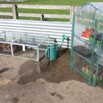 Cold frame and cuttings