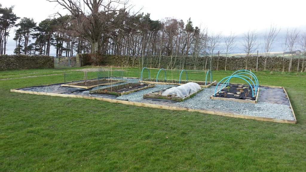 Raised beds nearing completion