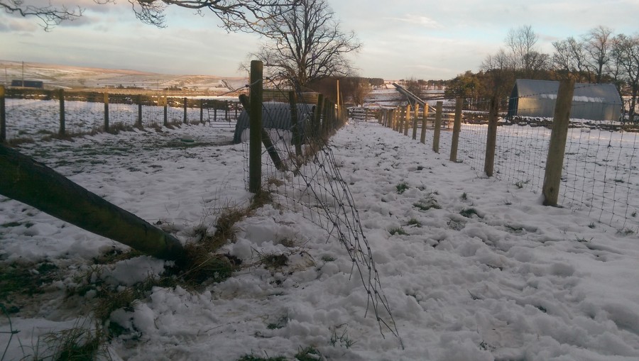 Fencing works completed Small Plot, Big Ideas