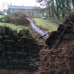 Free firewood and stone walling practice