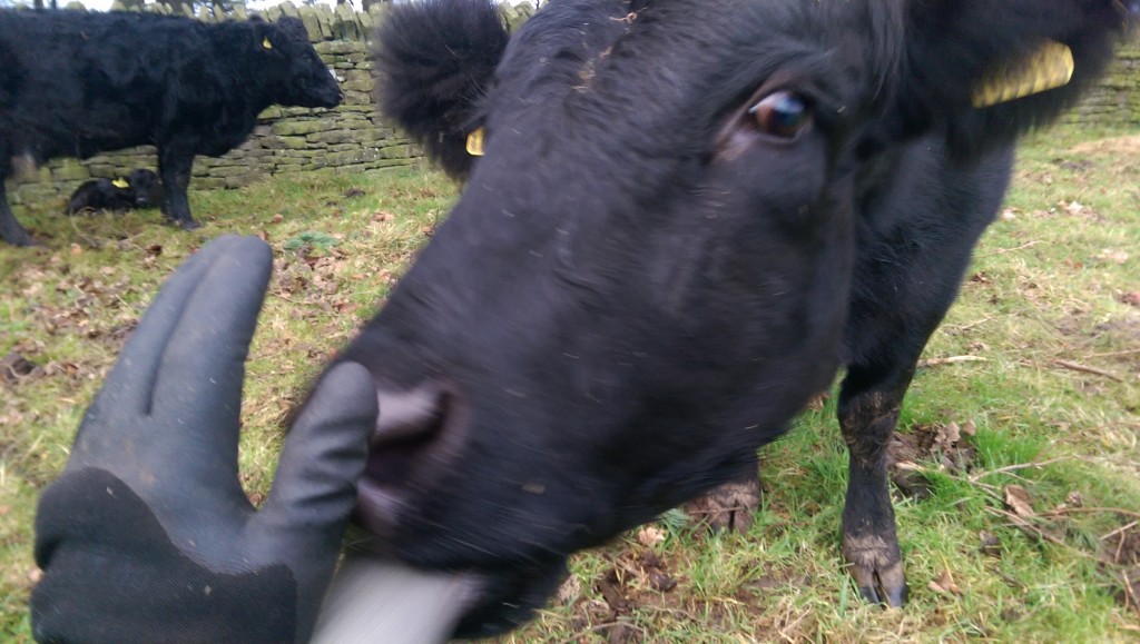Daisy getting friendly