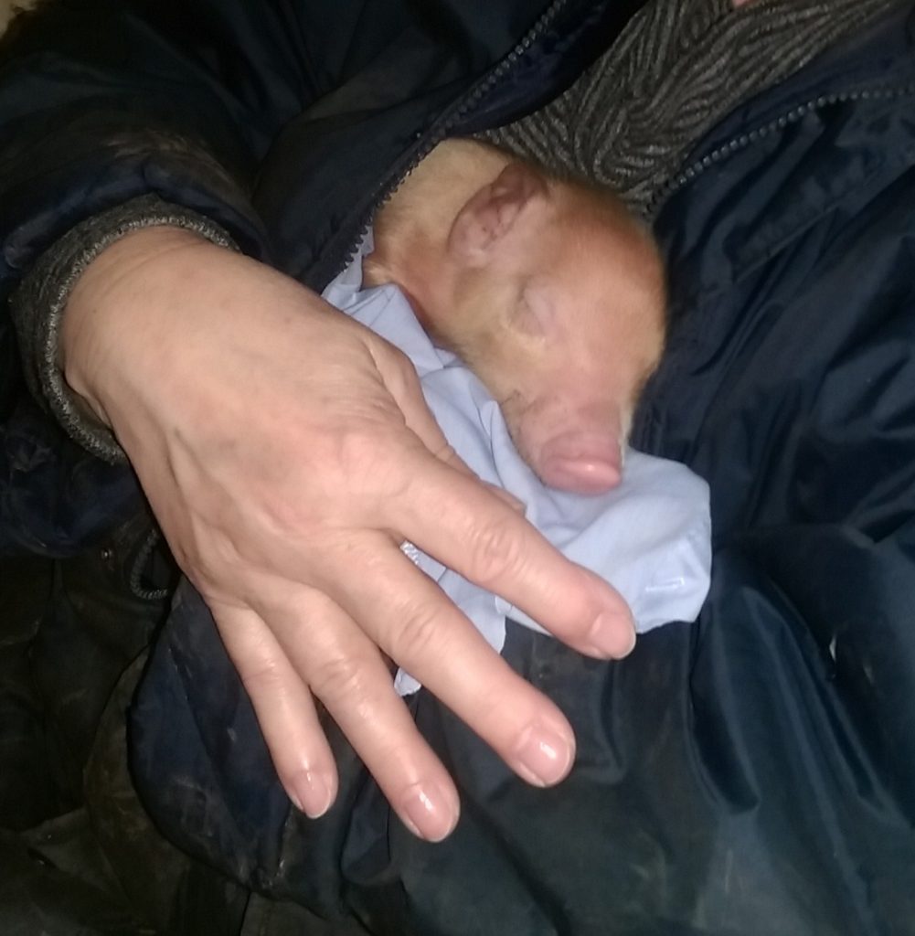 A little extra warmth for the small ones