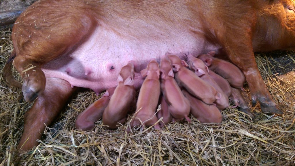 A heart-warming sight