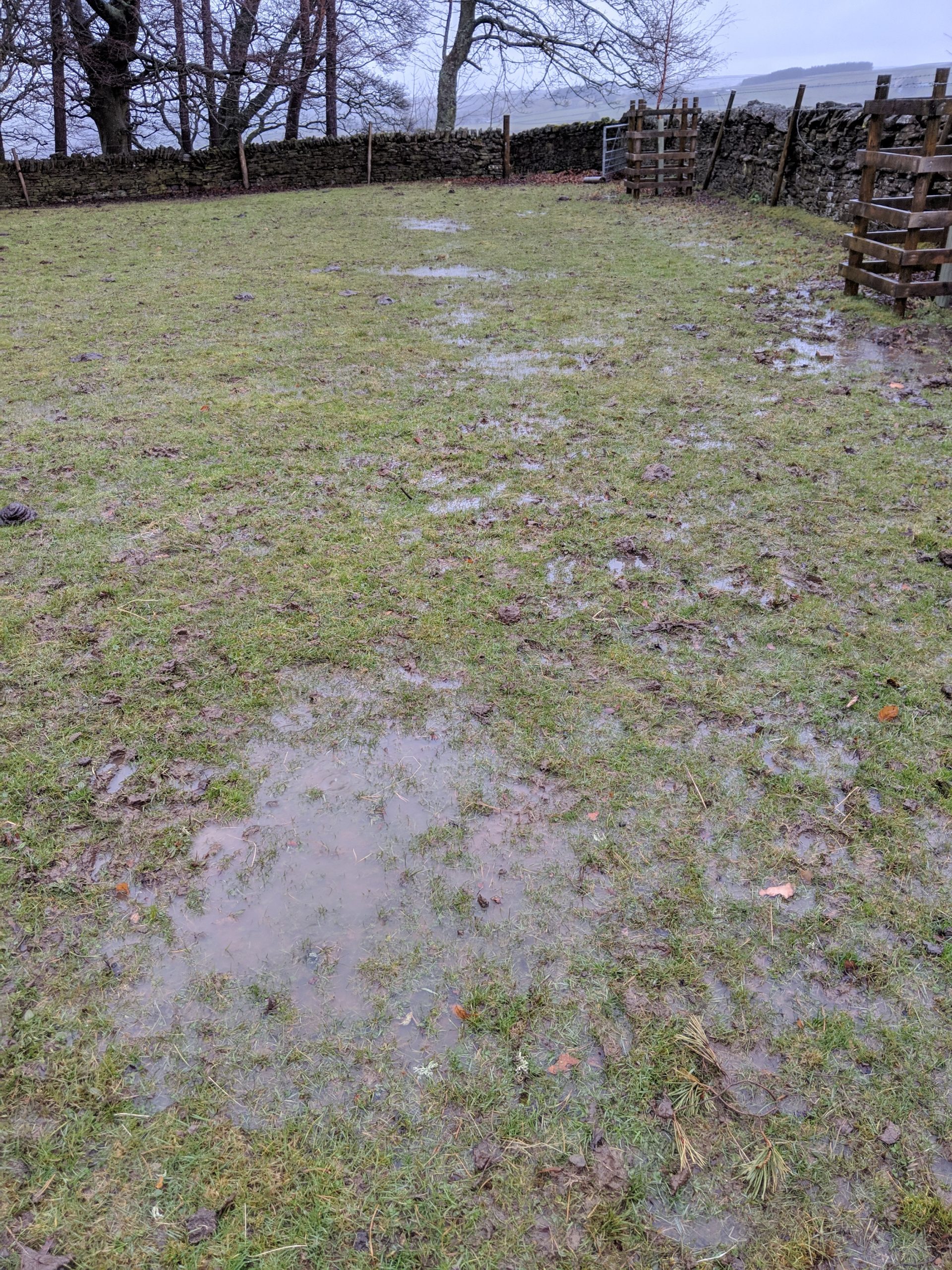 Whatever happened to gravity? Small Plot, Big Ideas