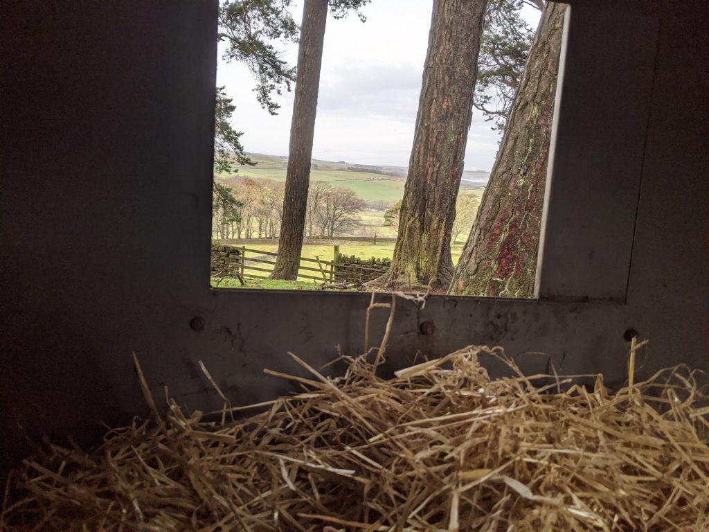 Rain + Pig = mud Small Plot, Big Ideas