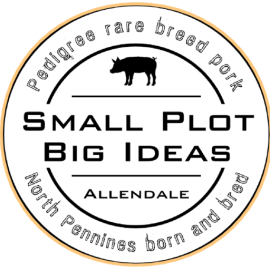 Small Plot Big Ideas